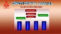ORGANIZATION STRUCTURE OF LICOGI 16.8 INVESTMENT CONSULTANT JOINT STOCK COMPANY